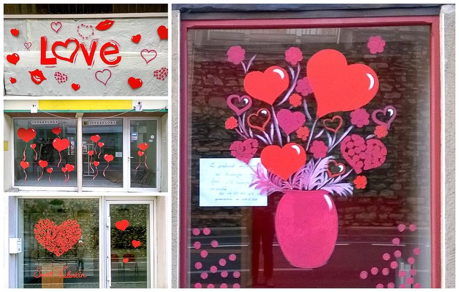 Vitrine 13 sur 24, Camille Schenkel